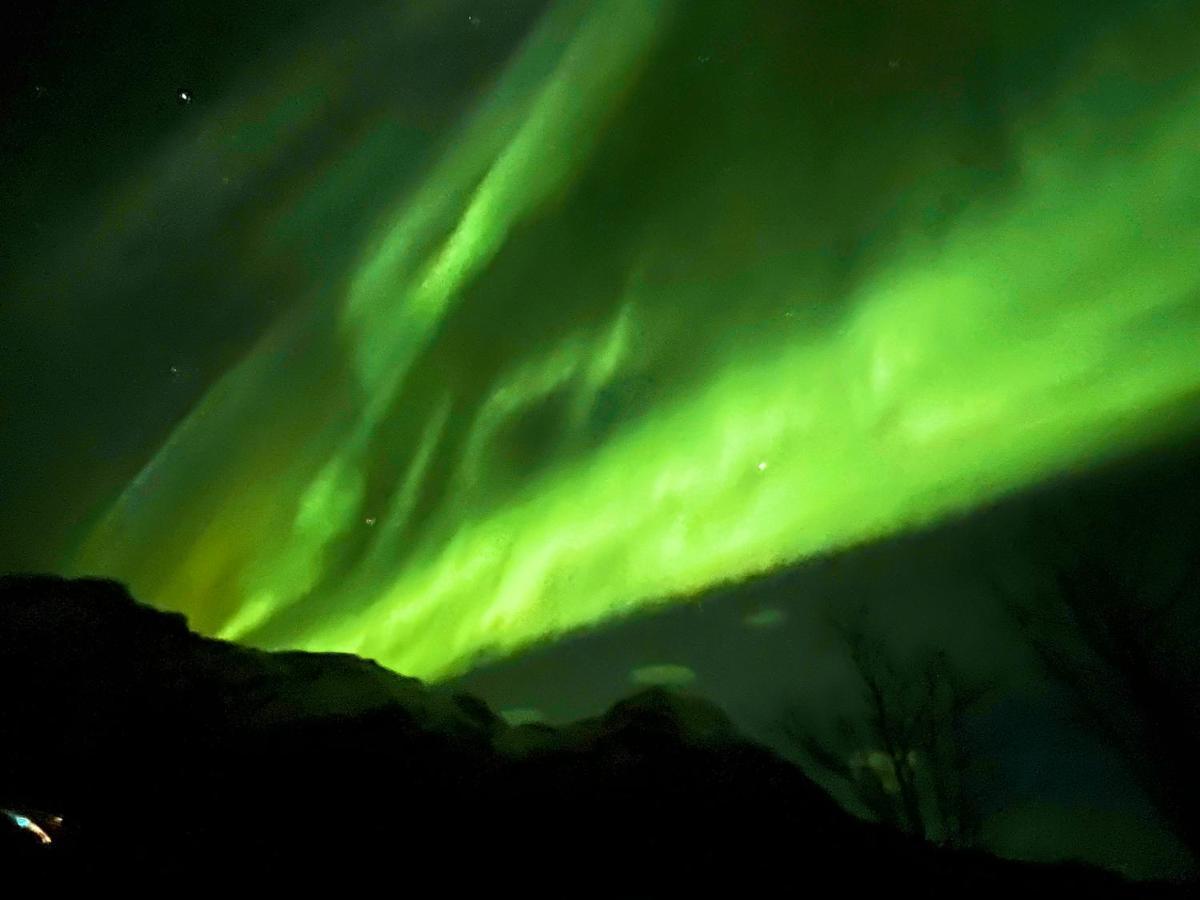 Lofoten Glampingdome Myrland 外观 照片