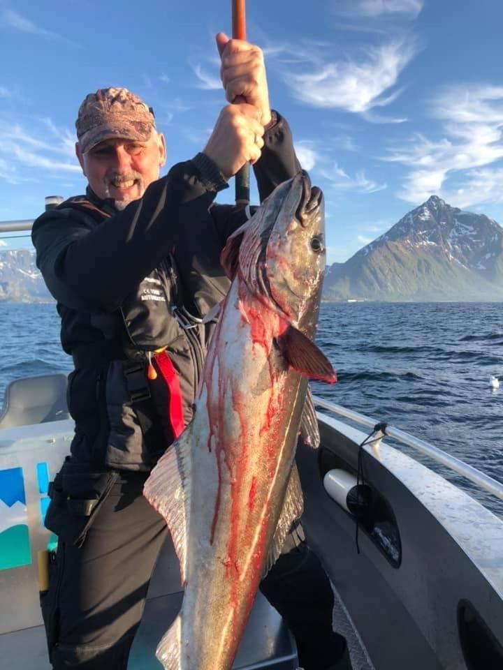 Lofoten Glampingdome Myrland 外观 照片