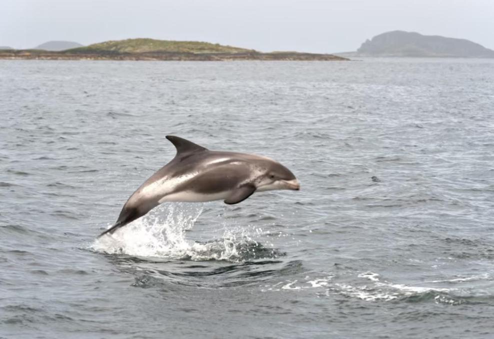 Lofoten Glampingdome Myrland 外观 照片
