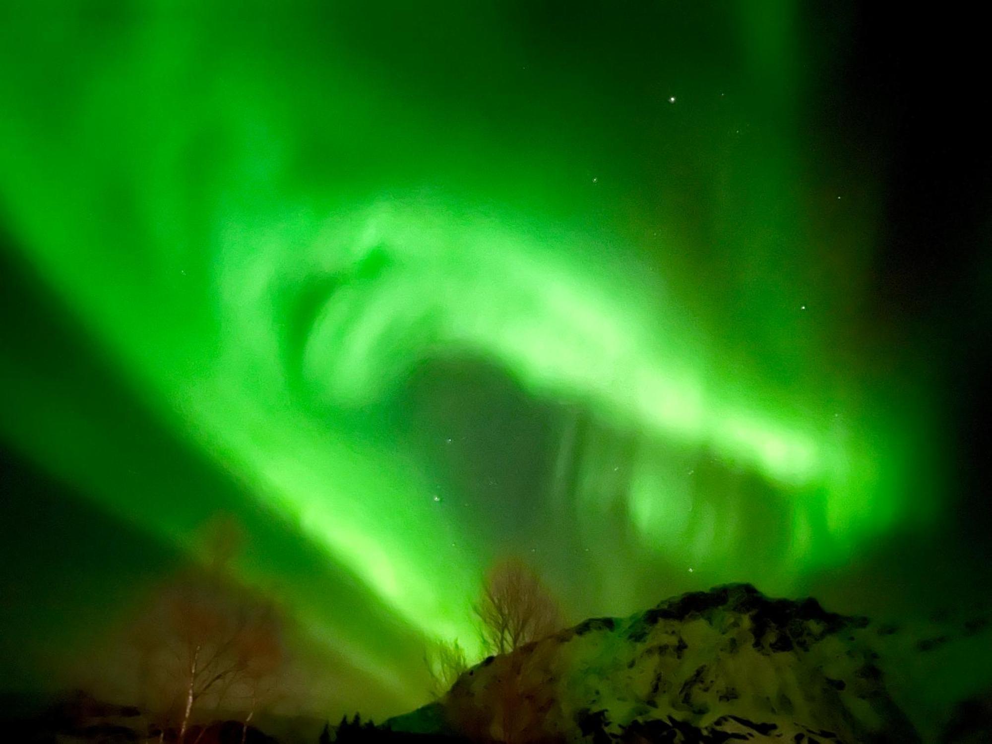 Lofoten Glampingdome Myrland 外观 照片