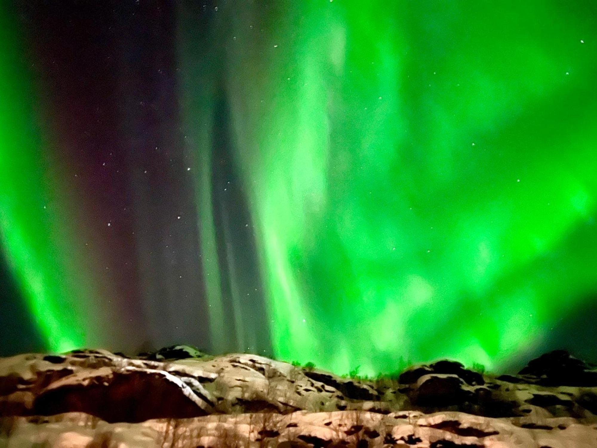 Lofoten Glampingdome Myrland 外观 照片