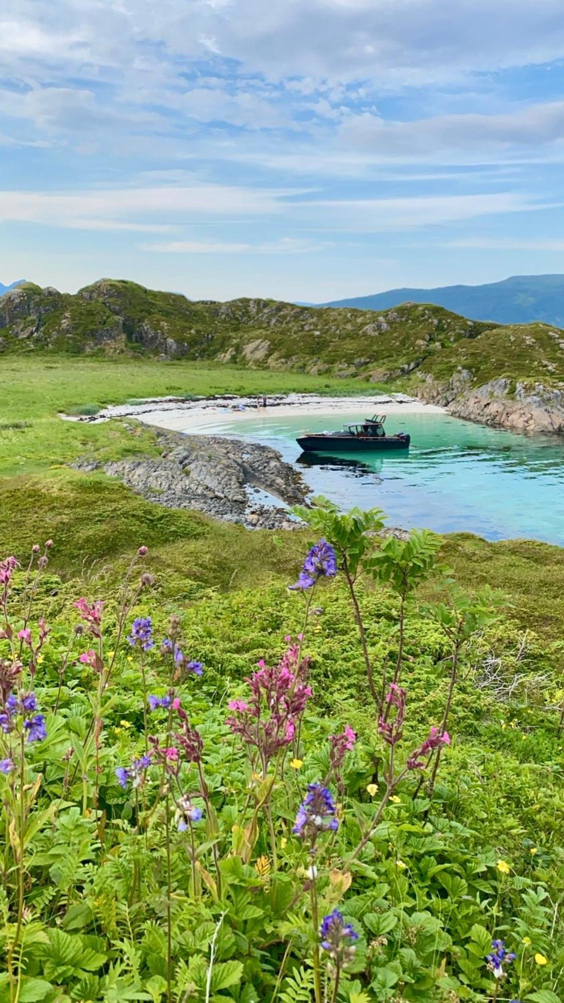 Lofoten Glampingdome Myrland 外观 照片